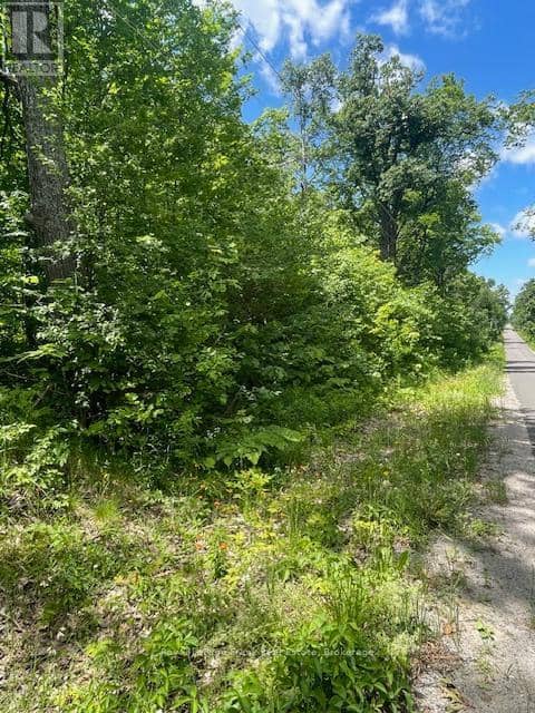 0 Balsam Lake Drive — photo 13 of 22