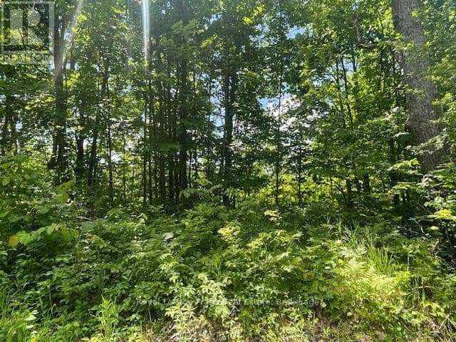0 Balsam Lake Drive — photo 14 of 22
