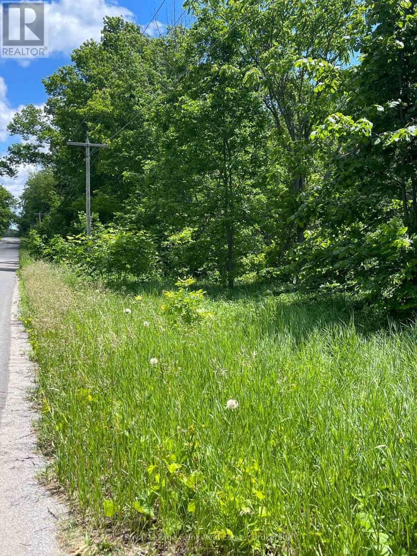 0 Balsam Lake Drive — photo 21 of 22