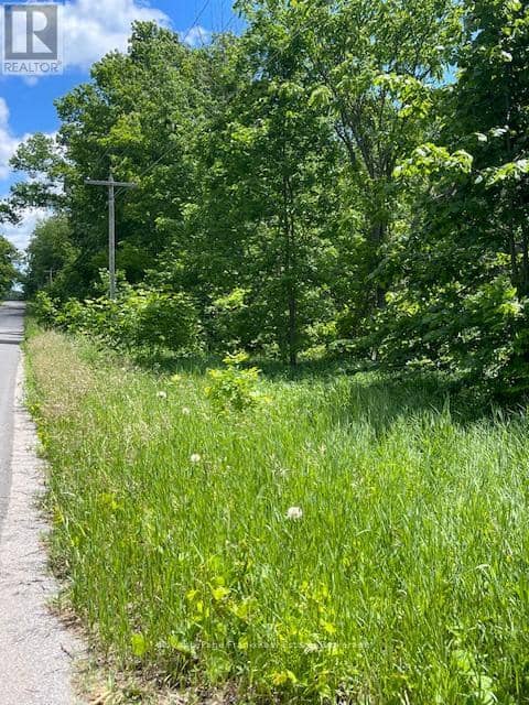 0 Balsam Lake Drive — photo 16 of 22