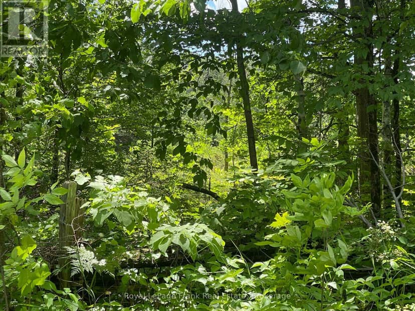 0 Balsam Lake Drive, Kawartha Lakes, photo 8