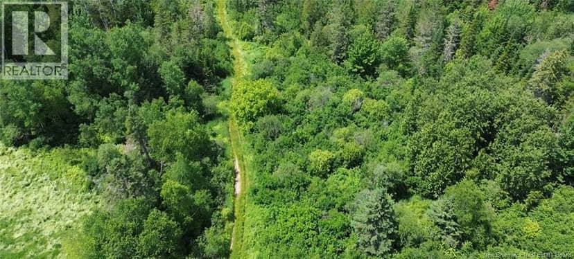 114.9 Acres Little River Drive, Bathurst, photo 3