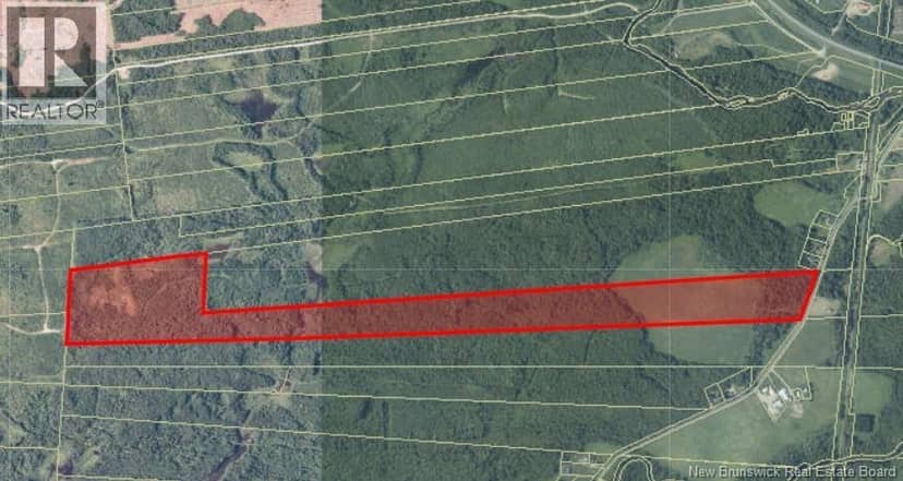 114.9 Acres Little River Drive, Bathurst, photo 4