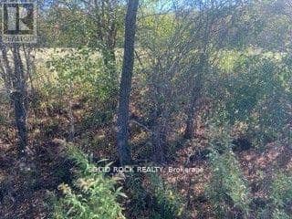 Lot Flagg Road — photo 18 of 26