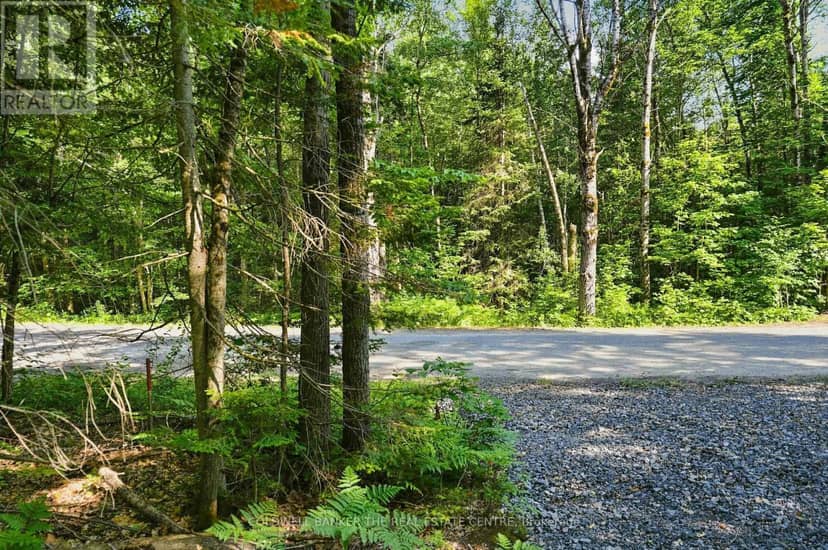260 Loch Erne Road, McDougall, photo 2