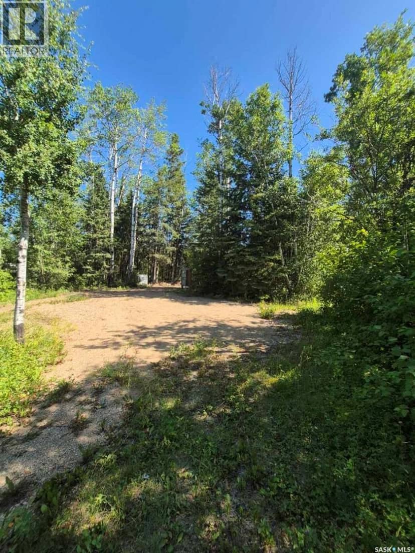 133 Birchwood AVENUE, Canwood Rm No. 494, photo 3