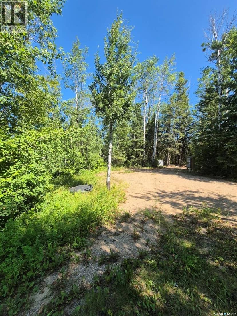 133 Birchwood AVENUE, Canwood Rm No. 494, photo 4
