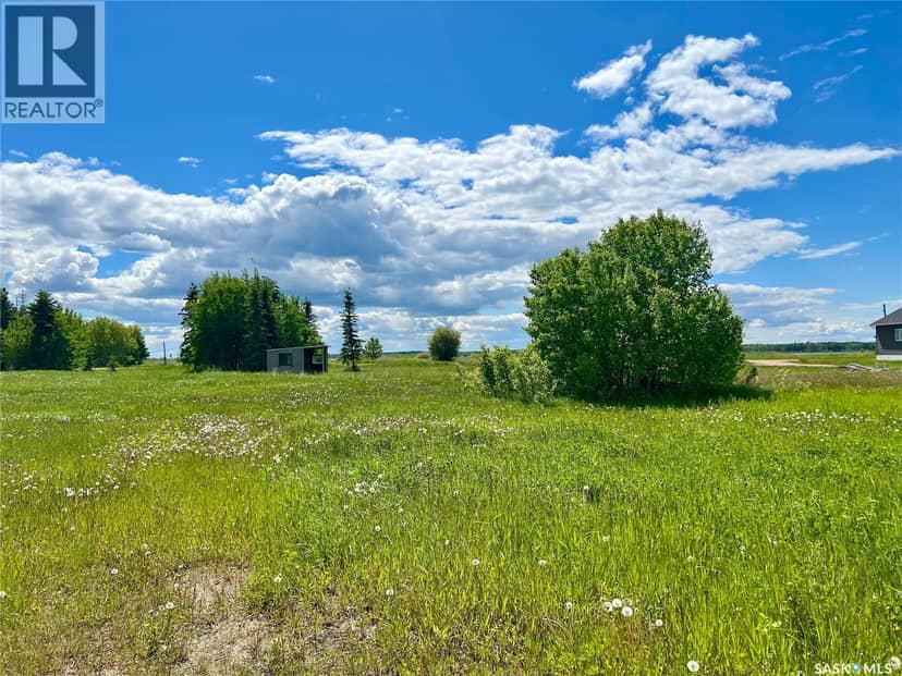 Block C, Porcupine Drive, Delaronde Lake, photo 2