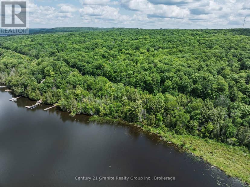 0 Kashagawigamog Lake Road — photo 10 of 17