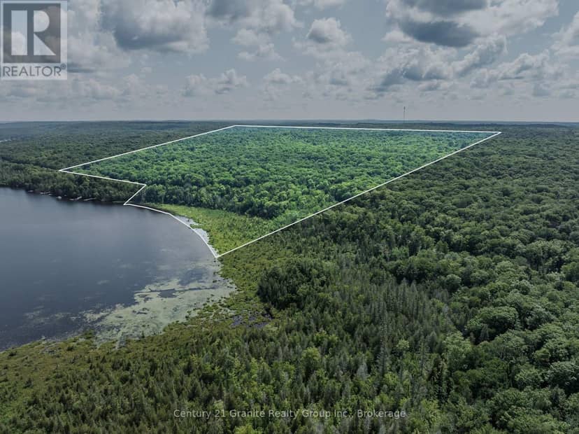 0 Kashagawigamog Lake Road — photo 12 of 27
