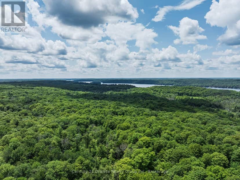 0 Kashagawigamog Lake Road — photo 9 of 27