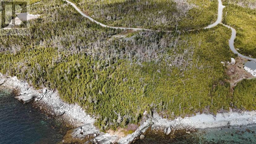 Lot 41 264 Beaver Drive, West Quoddy, photo 7