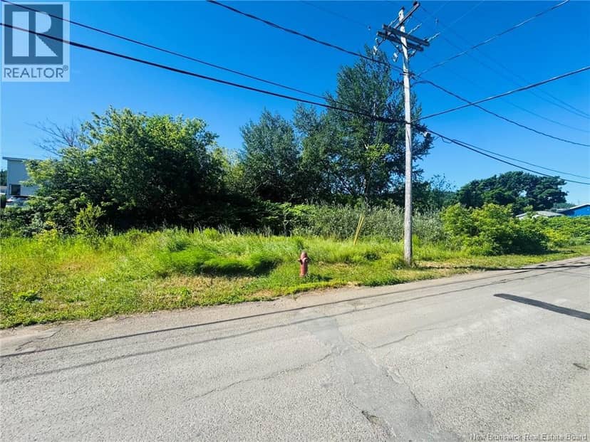 432 Well Street, Dalhousie, photo 2