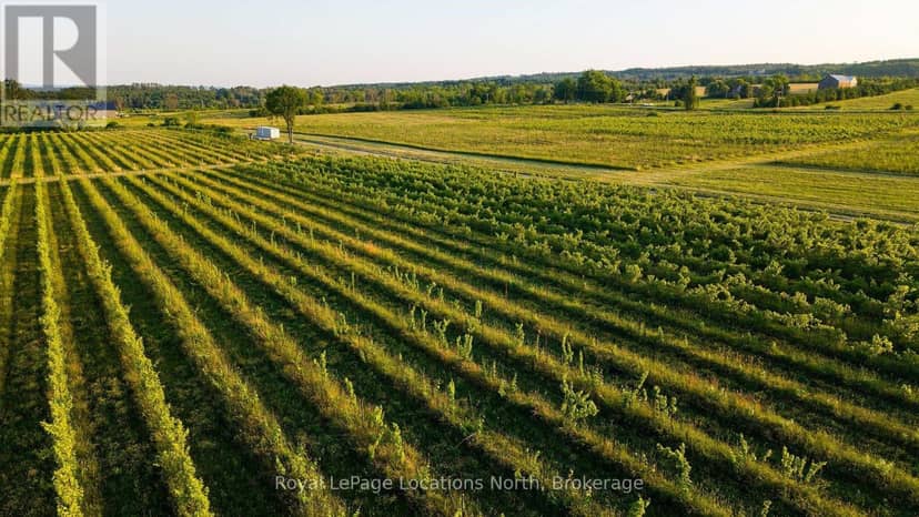 357065 The Blue Mountains Meaford Townline Road — photo 19 of 40