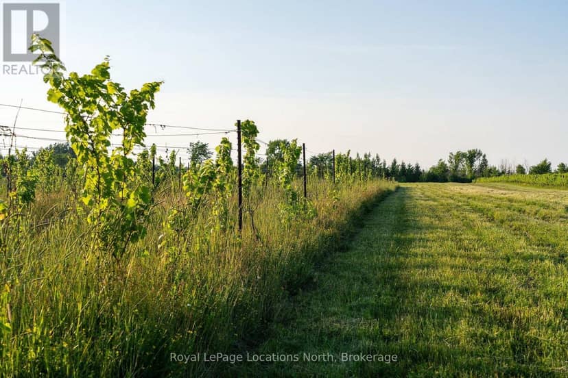 357065 The Blue Mountains Meaford Townline Road — photo 8 of 40