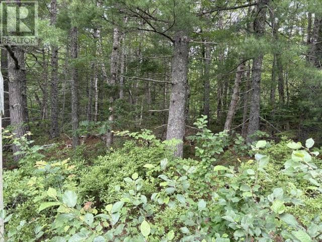 Lot 1-A Country Road, Lakeland Retreats, Labelle, photo 7