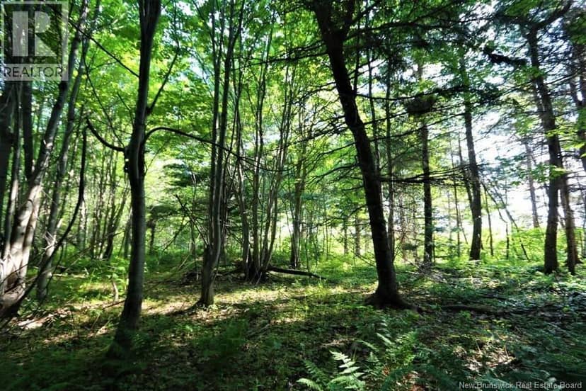 Lot 02-5 Renauds Mills Road, Saint-Antoine, photo 8