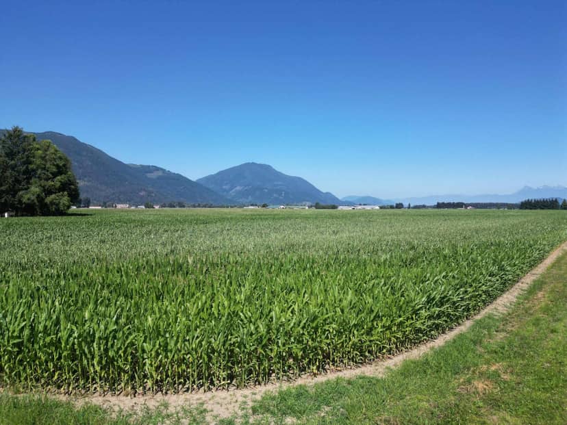 49AC HYDE BUKER ROAD, Mission, photo 4