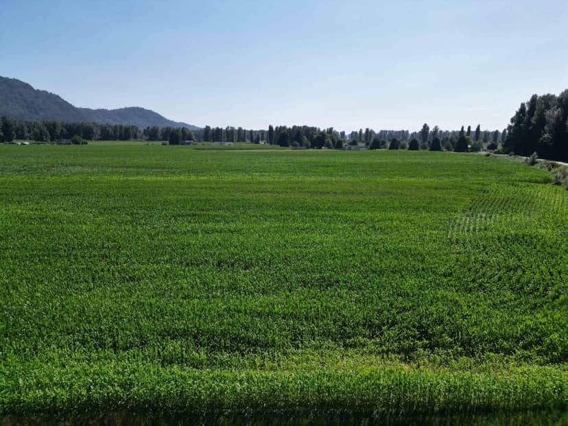 49AC HYDE BUKER ROAD, Mission, photo 6