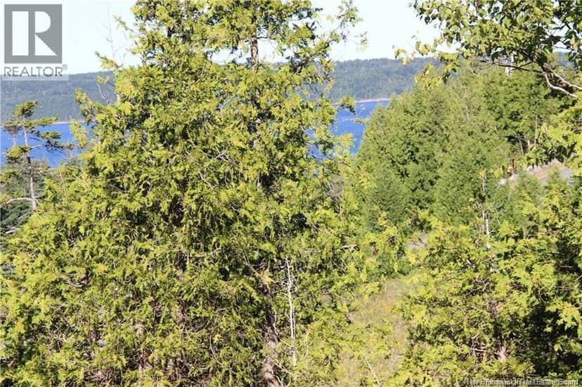 Lot C-4&5 Shoreline Drive — photo 2 of 3
