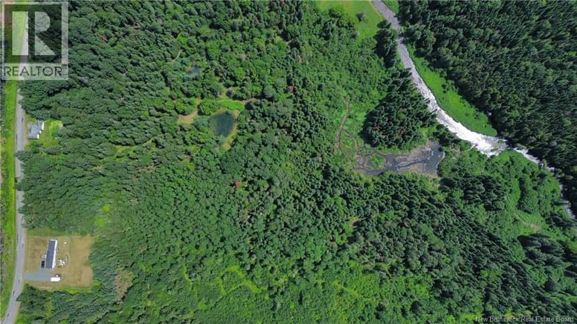Vacant Land Black Brook Road — photo 4 of 8