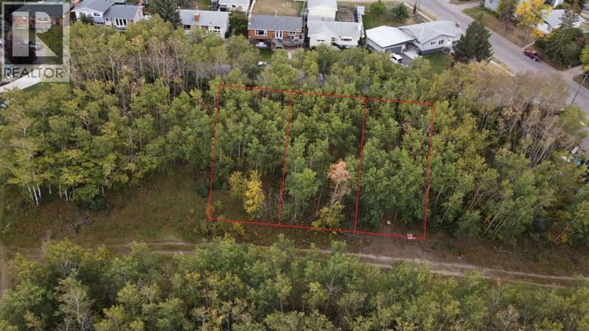 5007, 5009, 5011 42B Street, Ponoka