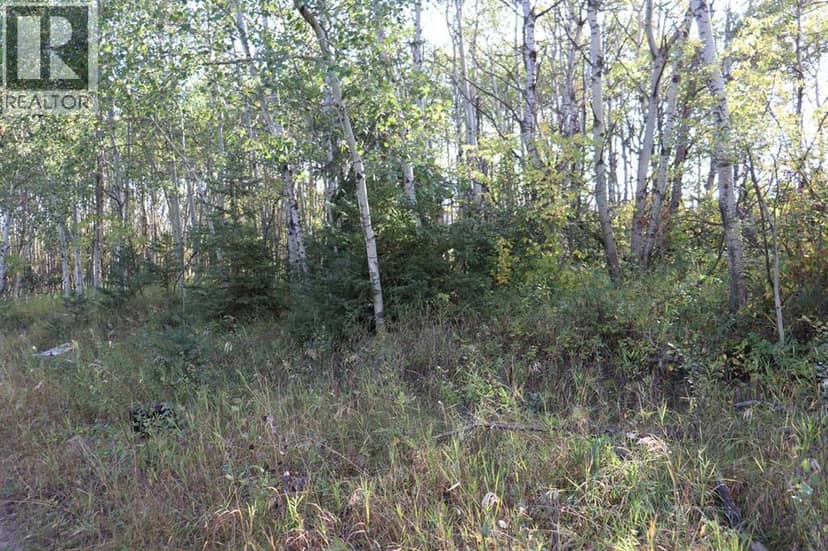 5007, 5009, 5011 42B Street, Ponoka, photo 7