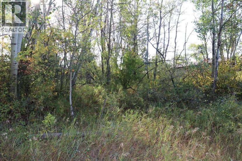 5007, 5009, 5011 42B Street, Ponoka, photo 8