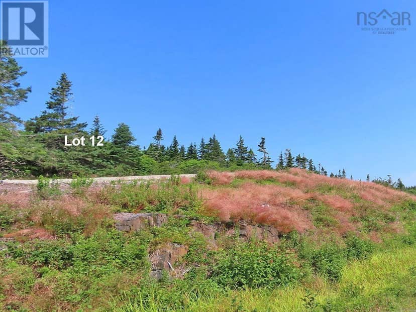 Lot 12 316 Hwy (English Harbour) — photo 18 of 40
