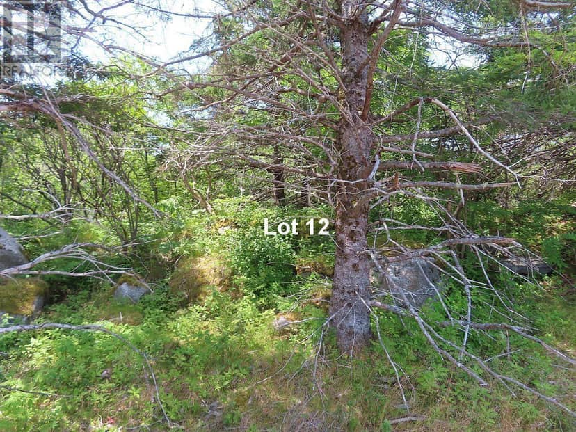 Lot 12 316 Hwy (English Harbour) — photo 21 of 40