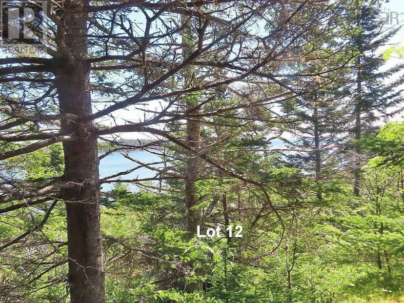 Lot 12 316 Hwy (English Harbour) — photo 24 of 40