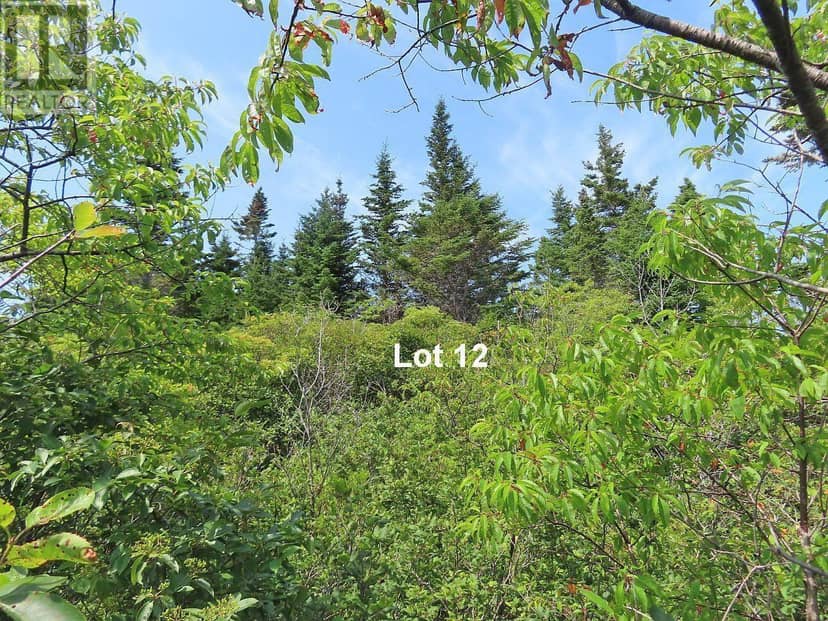 Lot 12 316 Hwy (English Harbour) — photo 23 of 40