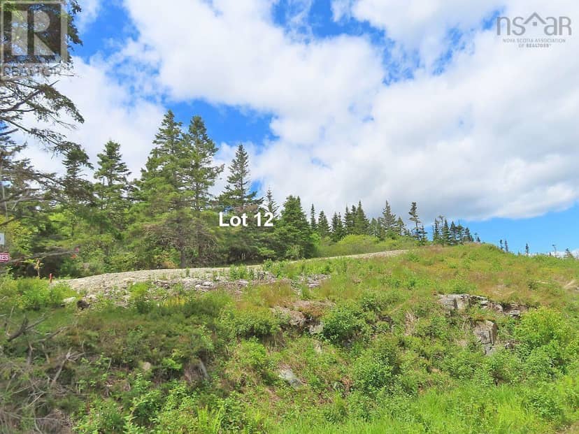 Lot 12 316 Hwy (English Harbour) — photo 40 of 40