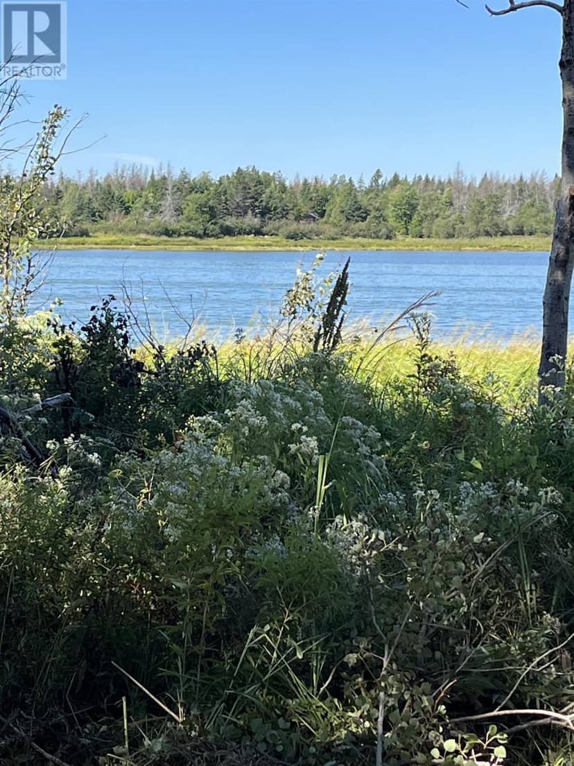 Hall Road, Grand River, photo 8