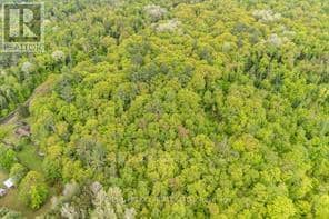 0 Josie Lane, Deep River, photo 8