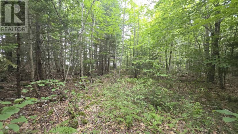 101 Madashak Road — photo 4 of 15