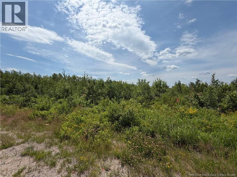 Lot 5 O'Keefe — photo 2 of 5
