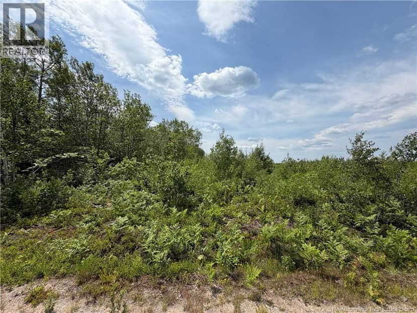 Lot 3 O'Keefe, Miramichi, photo 2