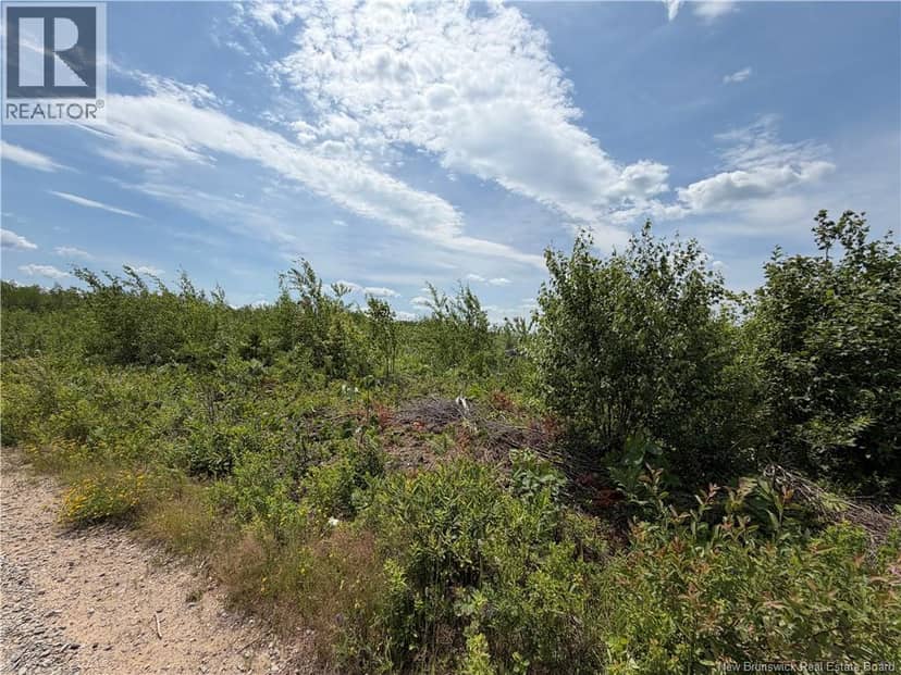Lot 4 O'Keefe Road, Miramichi, photo 2