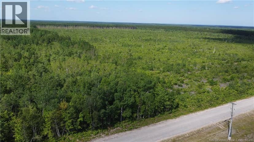 Lot 3 O'Keefe, Miramichi, photo 4