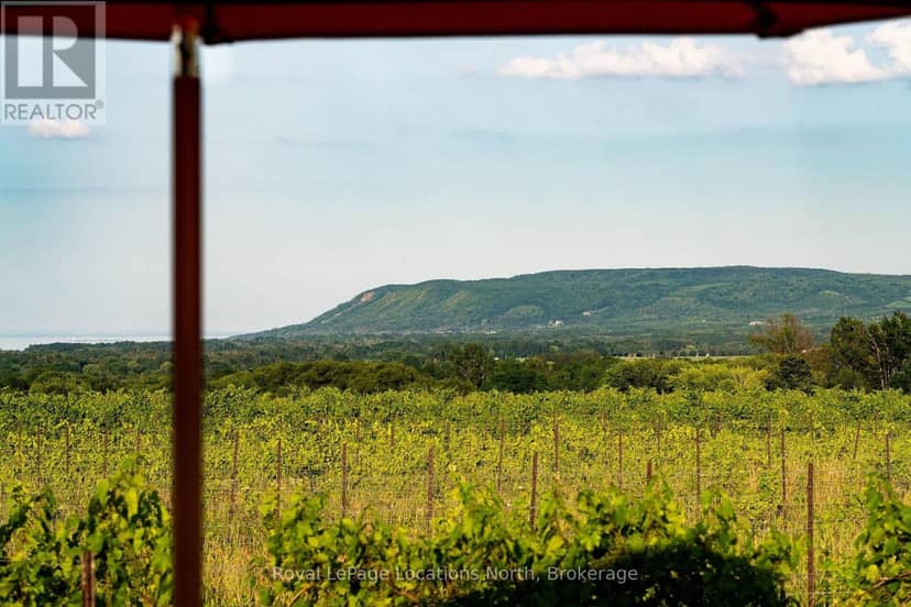 357065 The Blue Mountains Meaford Townline Road — photo 25 of 38