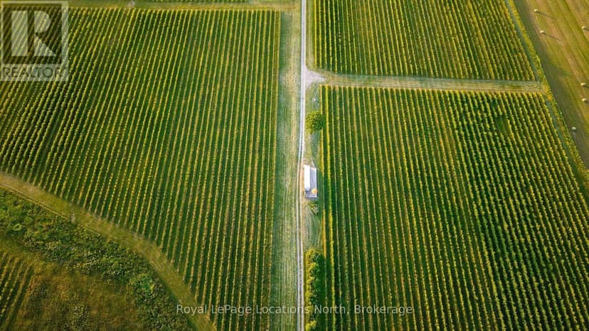 357065 The Blue Mountains Meaford Townline Road — photo 33 of 38