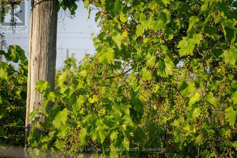 357065 The Blue Mountains Meaford Townline Road — photo 5 of 38