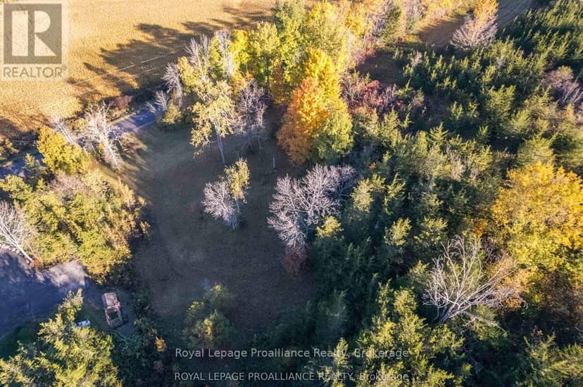 863 Gunter Settlement Road — photo 9 of 10