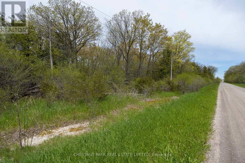 206 Simpson Road — photo 10 of 28