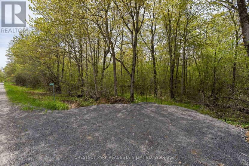 206 Simpson Road — photo 16 of 28