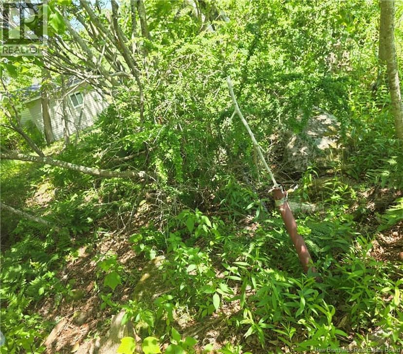 90 Crowley Road — photo 14 of 14
