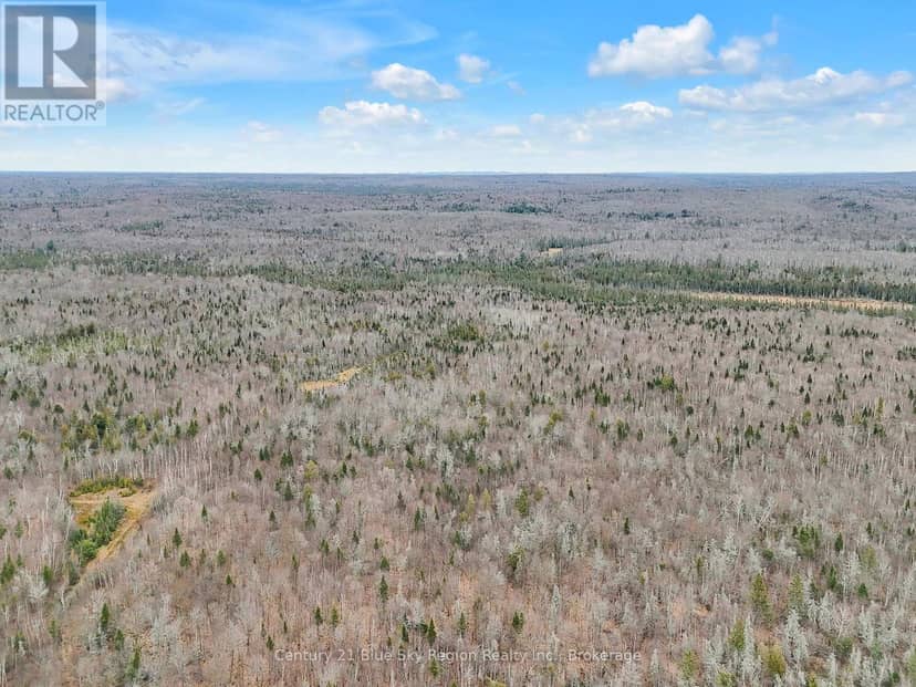 Lot 19 Conc 5 And Conc 6 Road — photo 10 of 18