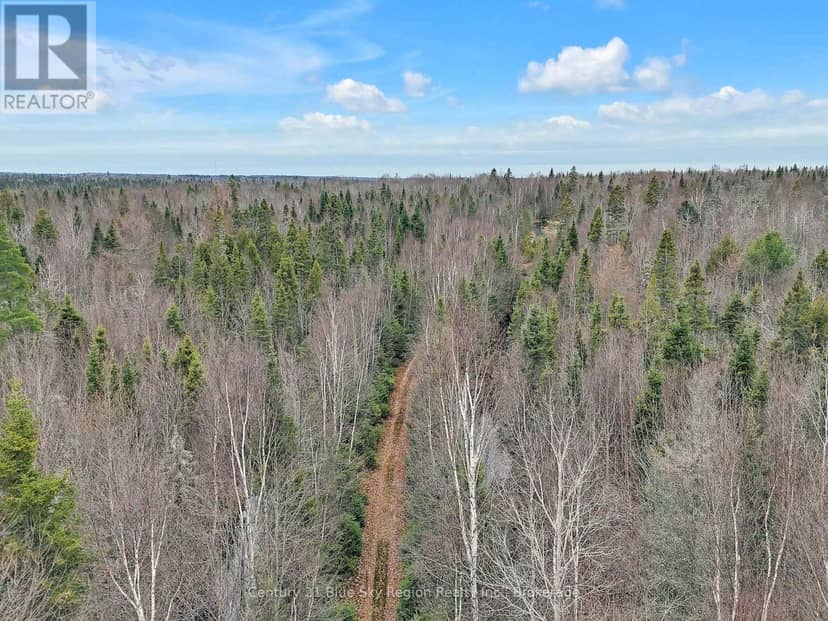 Lot 19 Conc 5 And Conc 6 Road — photo 14 of 18