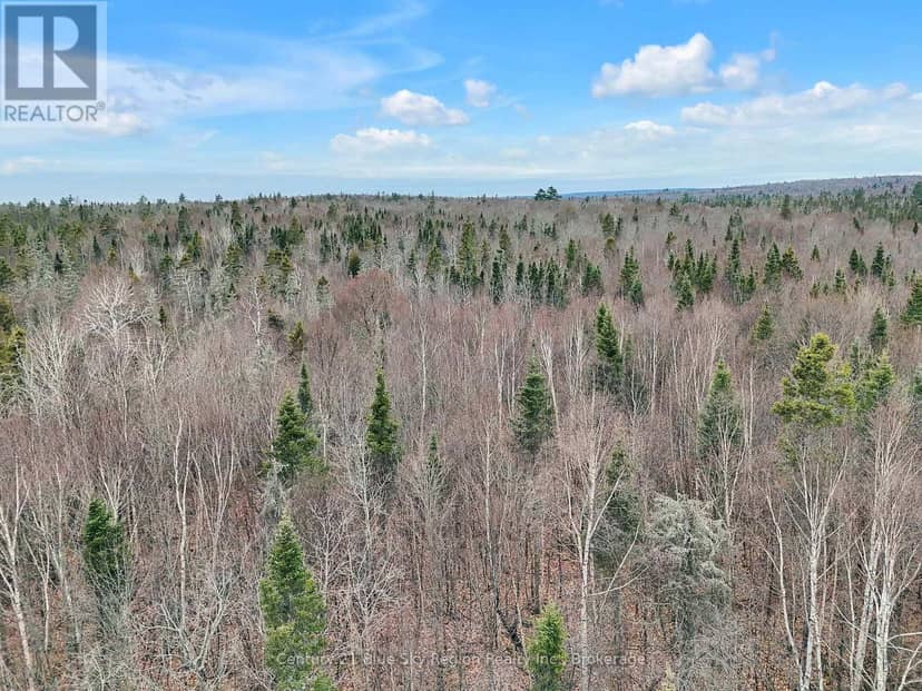 Lot 19 Conc 5 And Conc 6 Road — photo 16 of 18